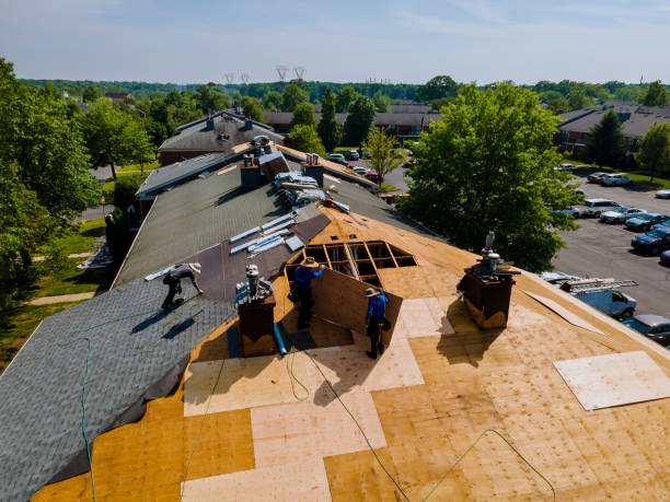 24/7 Emergency Flat Roof Repair experts in Dell, MT
